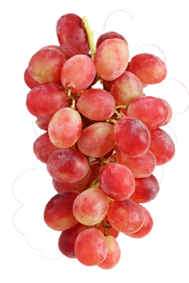 サンシャインレッド